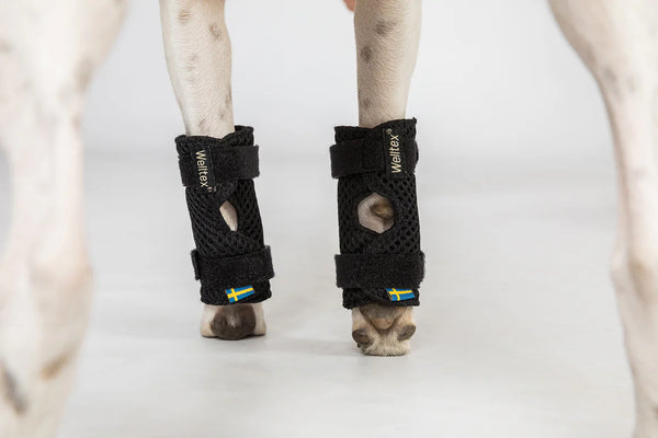 Dog wrist/carpal brace PAIR