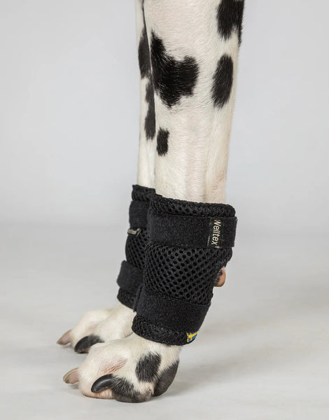 Dog wrist/carpal brace PAIR