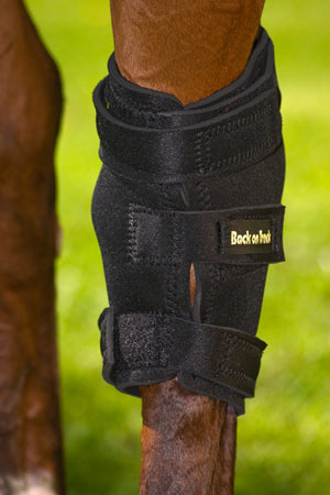 Hock Brace