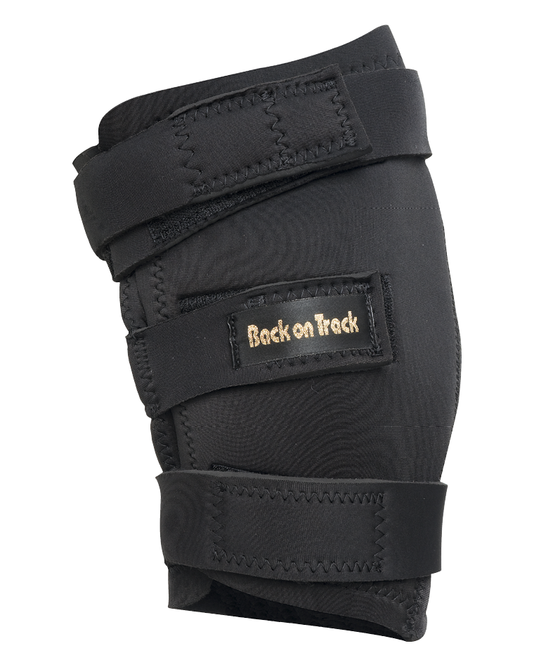 Hock Brace