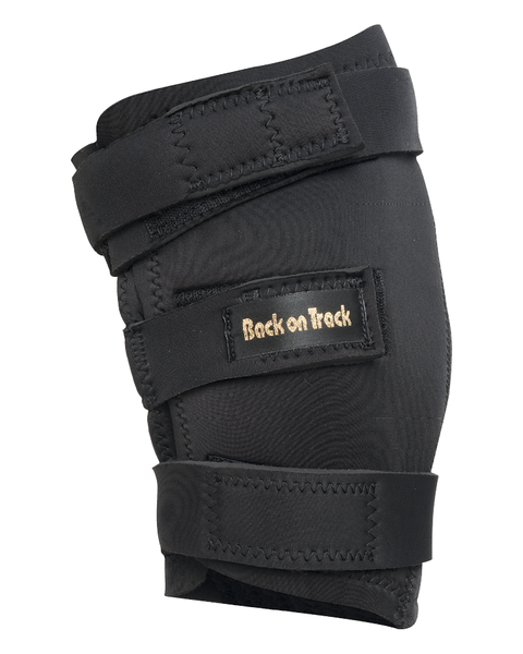 Hock Brace