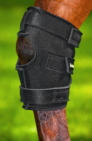 Hock Brace with Hole