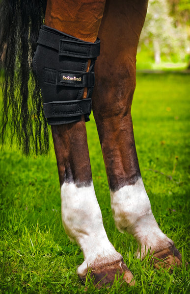 Hock Brace with Hole