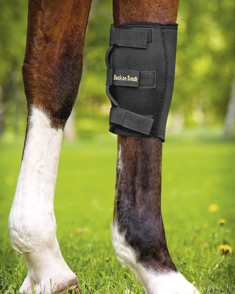 Knee Brace