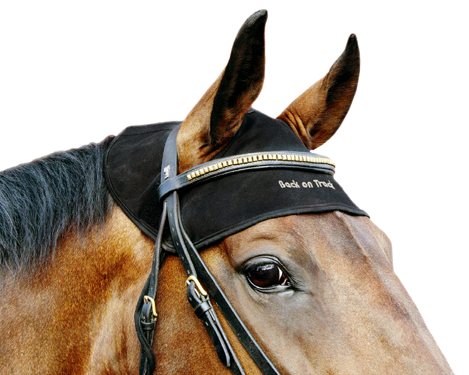 Head Cover