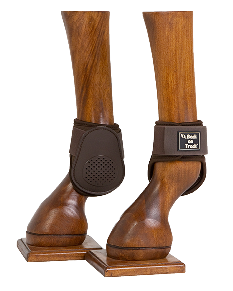 Royal Hind Ankle Boots - Brown