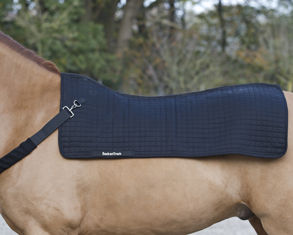 Horse back warmer