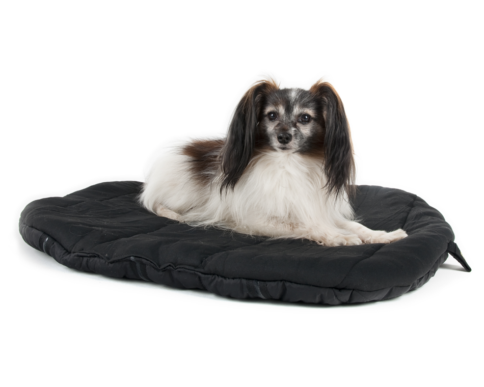 Oval Dog Bed