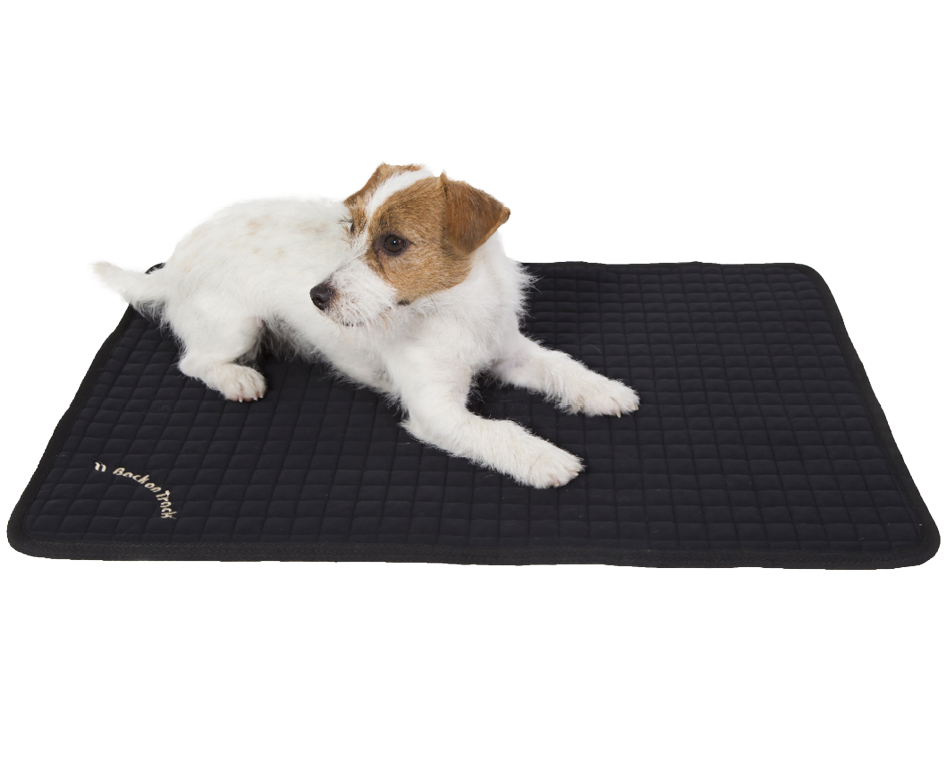 Dog Mattress Allround