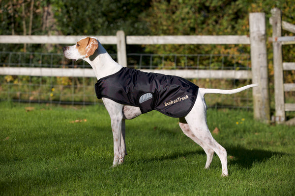 Hugo Standard Dog Rug