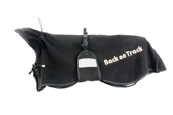 Dog Fleece Rug