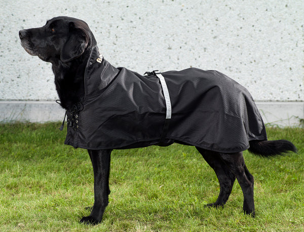 Dog Rain Rug