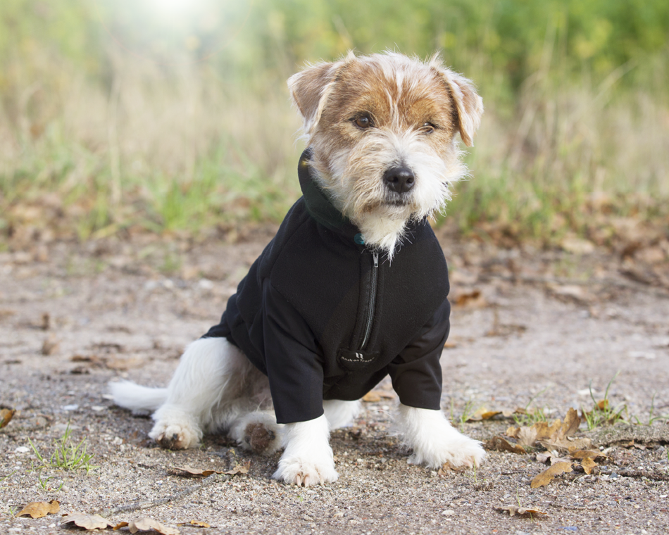 Dog Sweater - Bianca