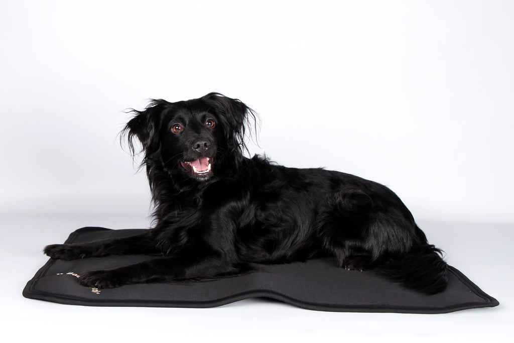 Dog Mattress Cage