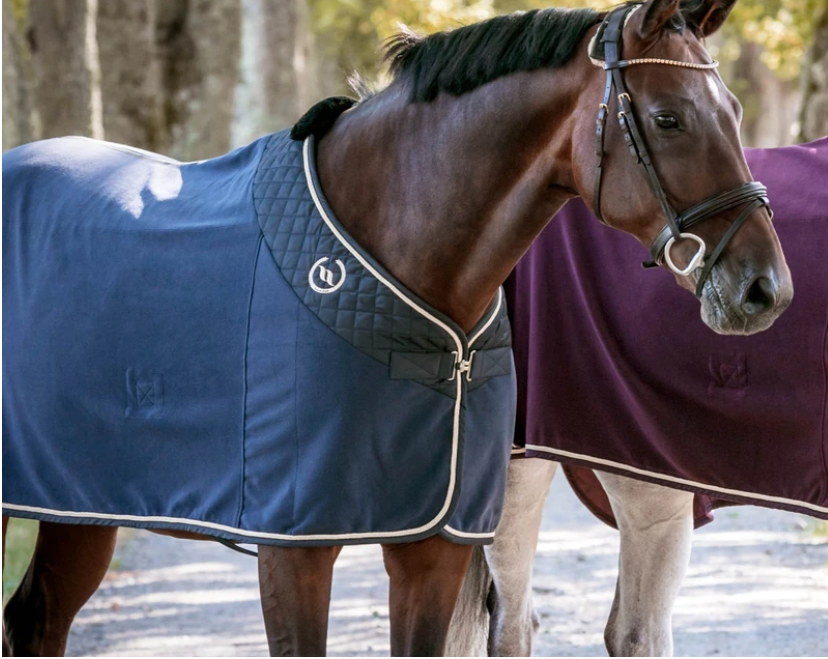 Night Collection Fleece Rug - Navy