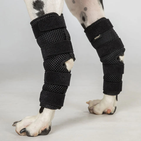 Dog Hock Brace (PAIR)