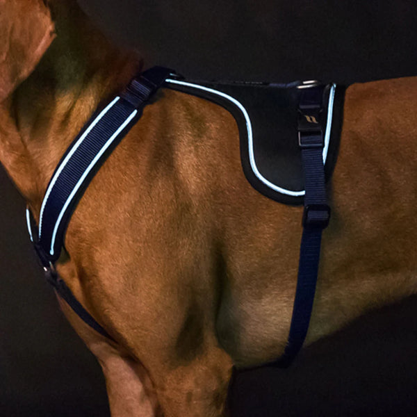 Max Dog Harness