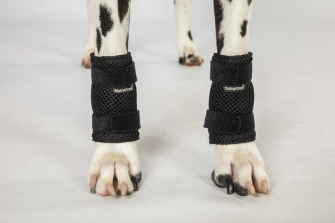 Dog wrist/carpal brace PAIR