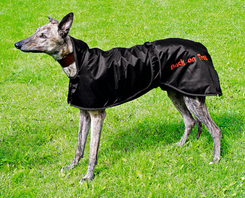 Greyhound Dog Rug