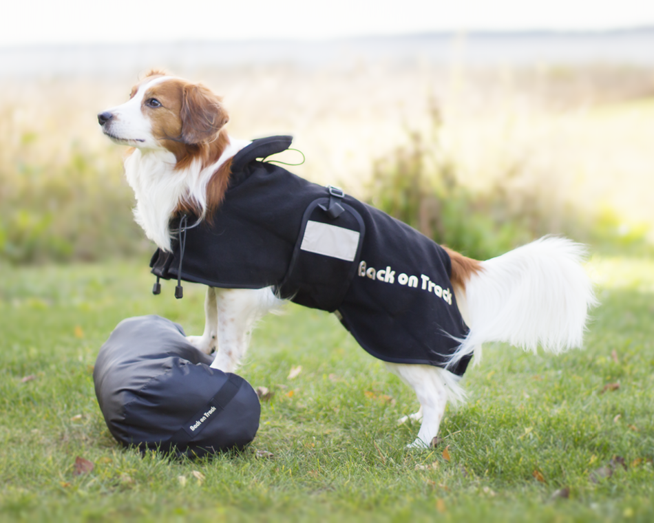 Dog Fleece Rug Back on Track SA